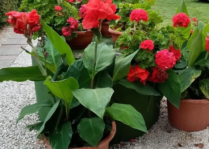 Lejlighed Feeienwohnung Am By Interhome